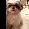 ashleybenson Altpins Profile Picture