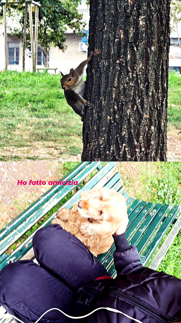 la.vica_ instagram image archive image