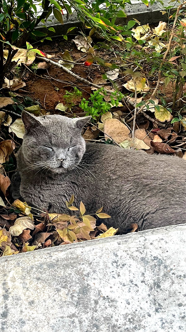 _valenciaaga instagram image archive image