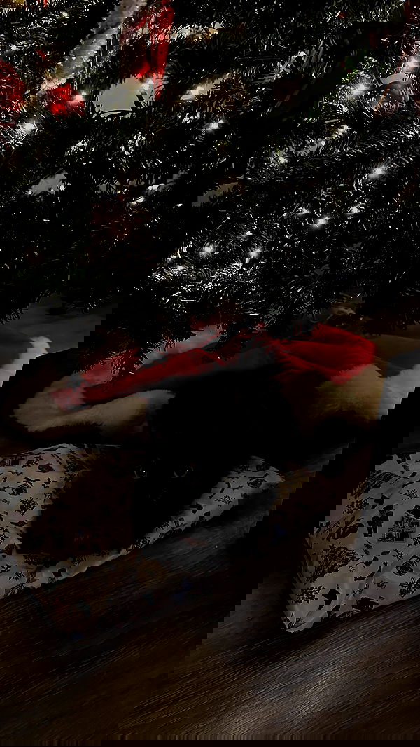 manjolamuriqi manjolamuriqi archive image