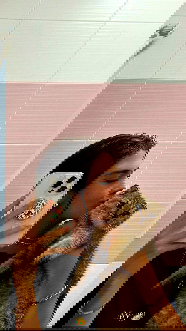 taylor.creeden taylor.creeden archive image