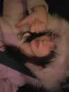 carmaxlla Altpins Profile Picture