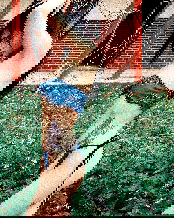 ting851204 ting851204 archive image