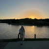 macaroni_naomi Altpins Profile Picture