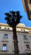 biancanataliie Altpins Profile Picture