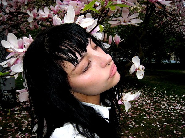 lerasww lerasww archive image