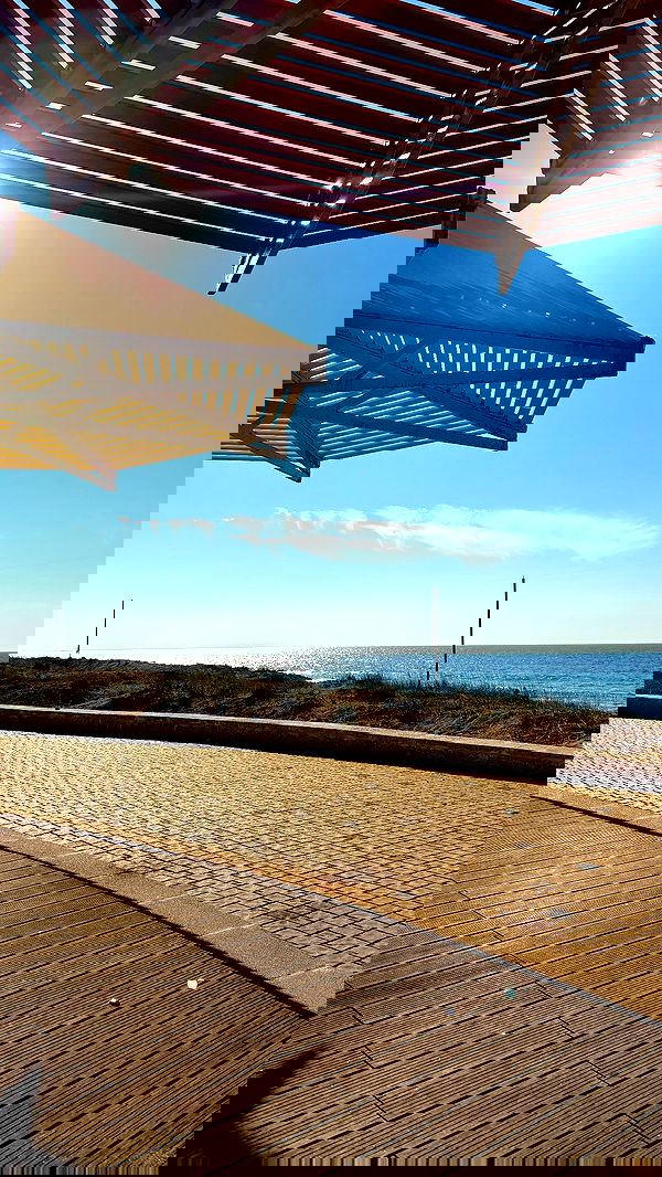 noammalka___ noammalka___ archive image