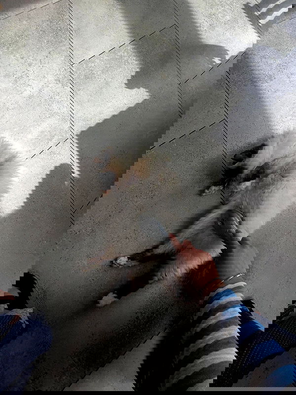 kitty.elliss kitty.elliss archive image