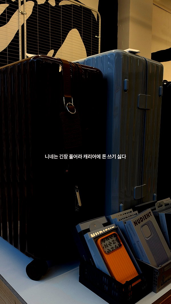daxbin instagram image archive image