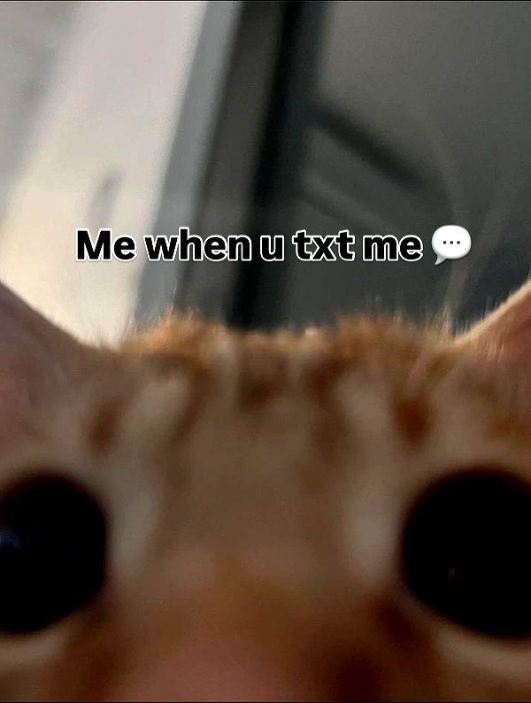 milkibunshehe instagram image archive image