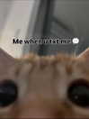 milkibunshehe Altpins Profile Picture