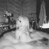 xtina Altpins Profile Picture