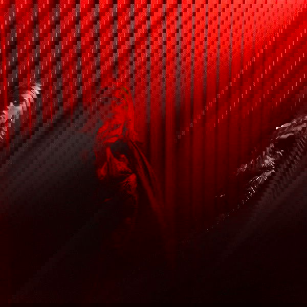 annfigmax image ~ Altpins