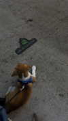 kyla.doddsss Altpins Profile Picture