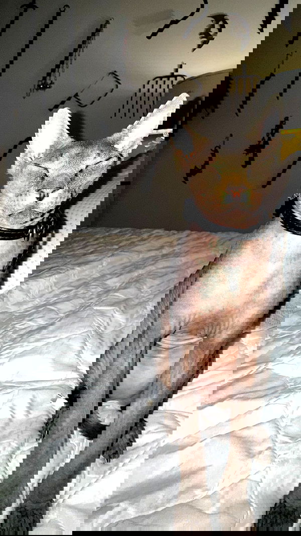 zommmbri zommmbri archive image