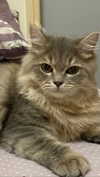 _mashachka_ Altpins Profile Picture