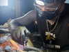 darkstar_mia Altpins Profile Picture