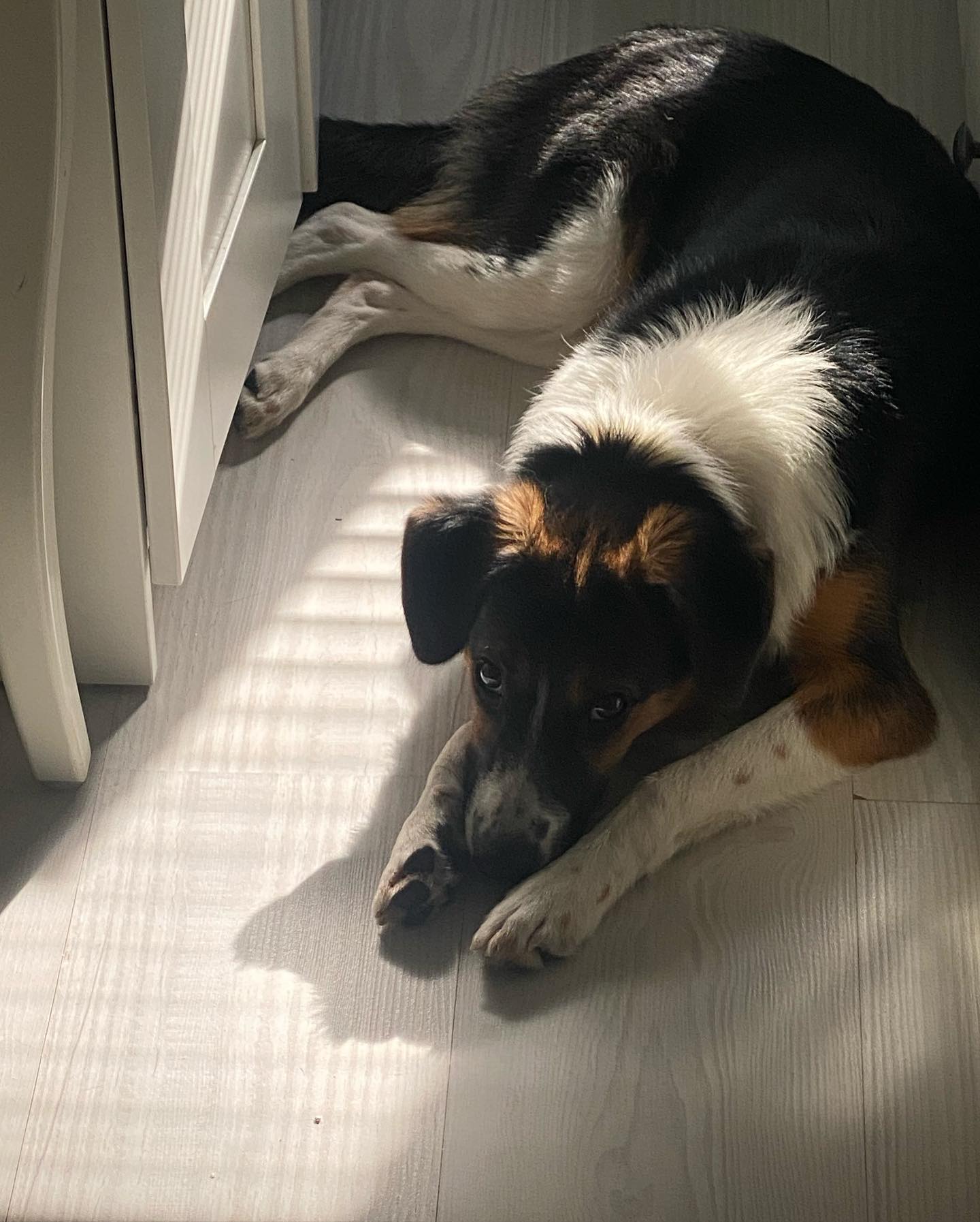 kkulakovaa instagram image archive image