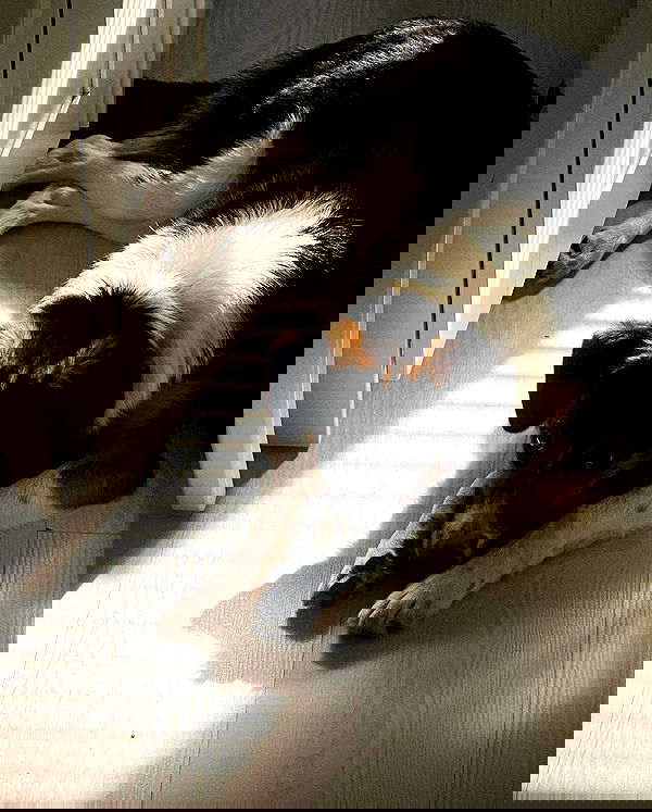 kkulakovaa image ~ Altpins