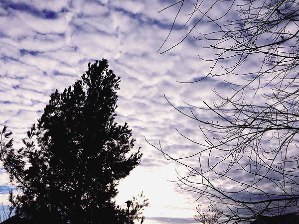 hallucineon instagram image archive image