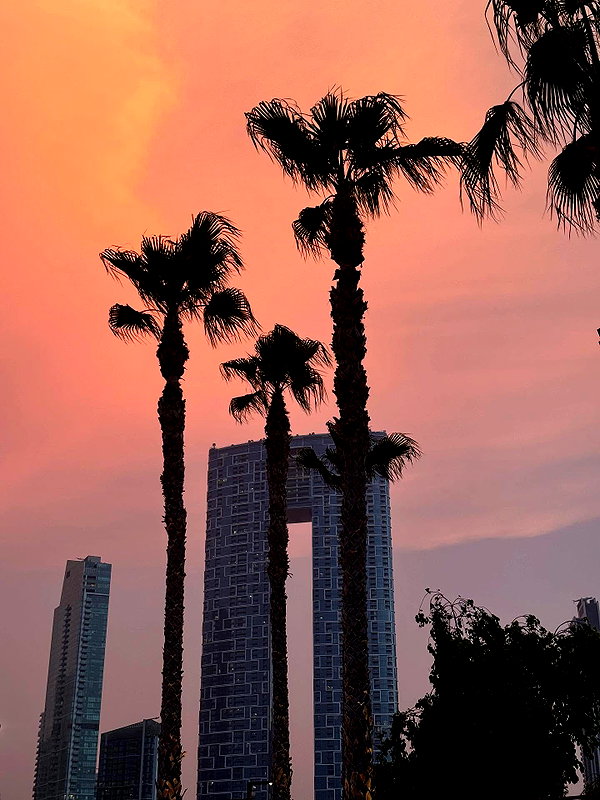 lerkamiill instagram image archive image