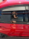 katrina.zaiceva Altpins Profile Picture