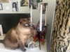 babydollslumber Altpins Profile Picture
