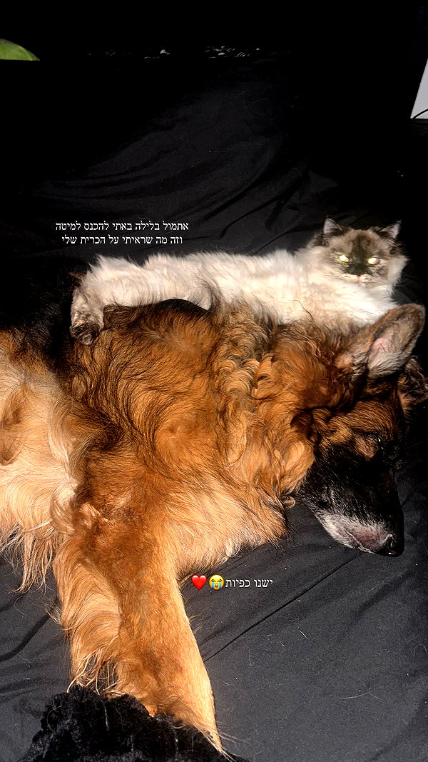 karin_orhov instagram image archive image