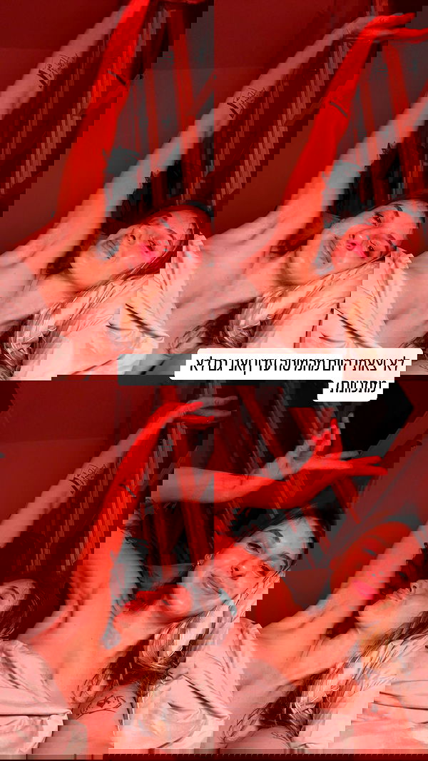 iambohema.v2 iambohema.v2 archive image