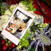 gigihadid Altpins Profile Picture