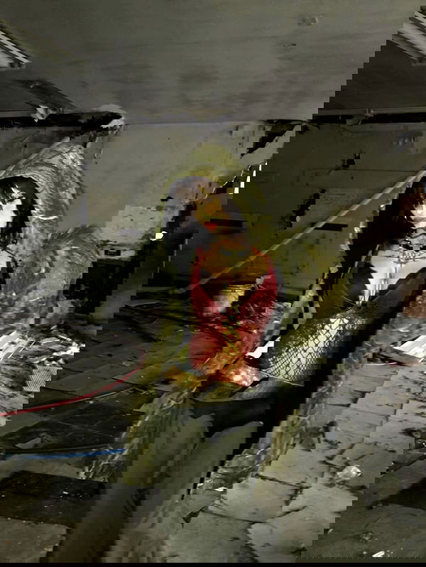 zommmbri zommmbri archive image