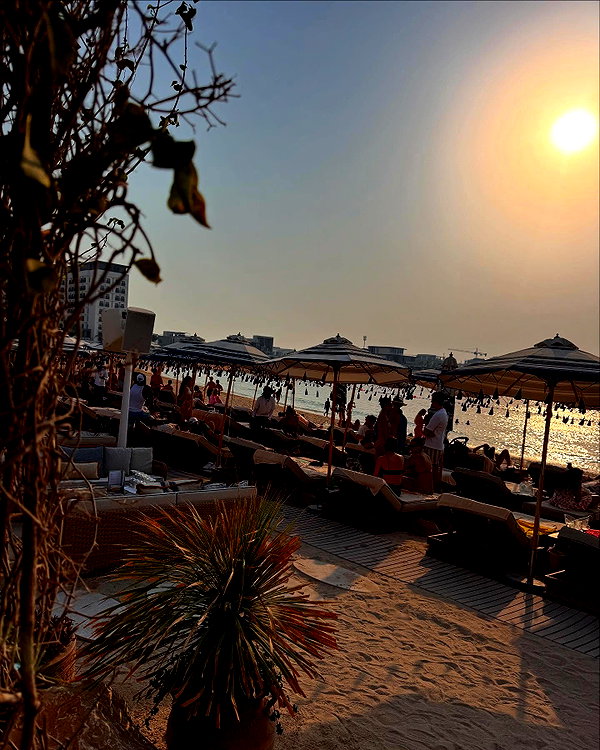 annezivi instagram image archive image