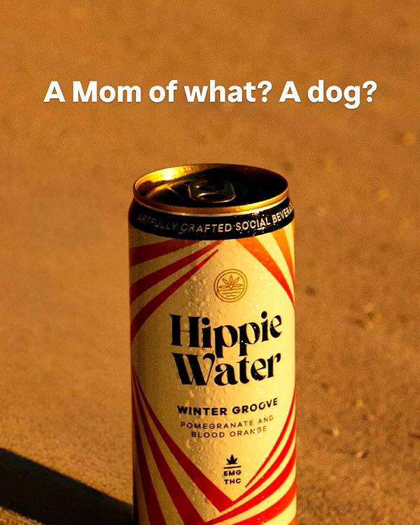 myhippiewater instagram image archive image