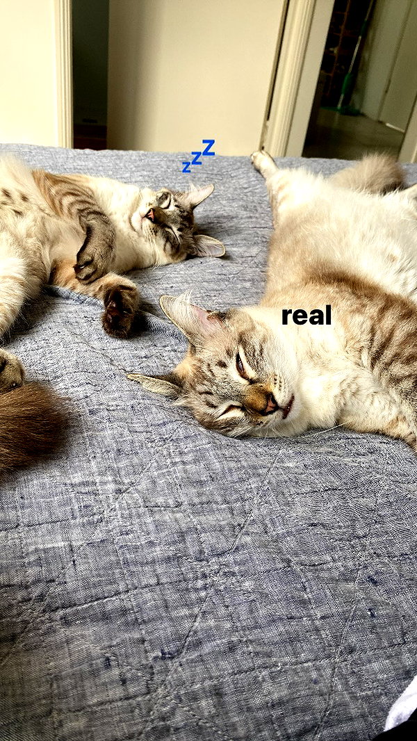 dollyemi instagram image archive image