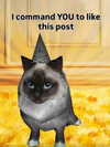milkibunshehe Altpins Profile Picture