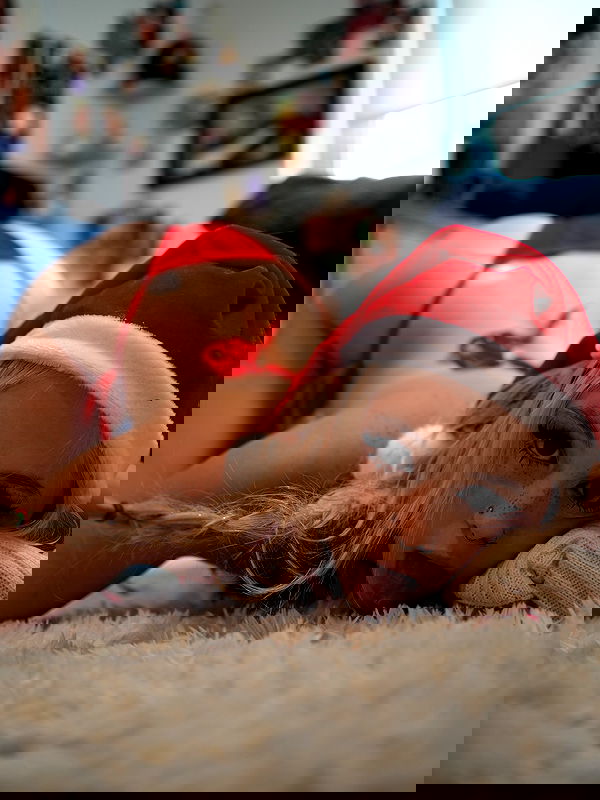 tatum.ricee tatum.ricee archive image