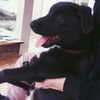 _urbaneva Altpins Profile Picture