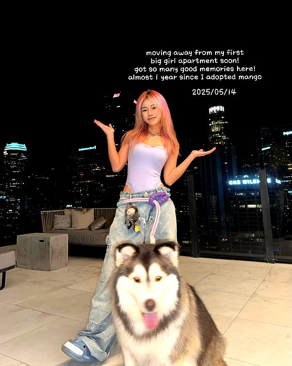 shulunc instagram image archive image