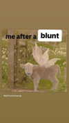 babynympho_archive Altpins Profile Picture