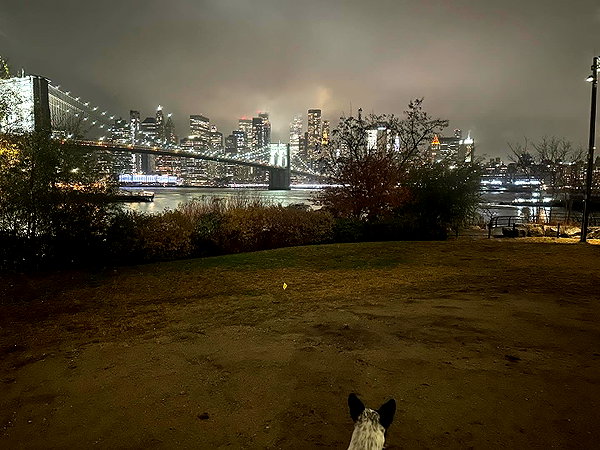 alexandradaddario instagram image archive image