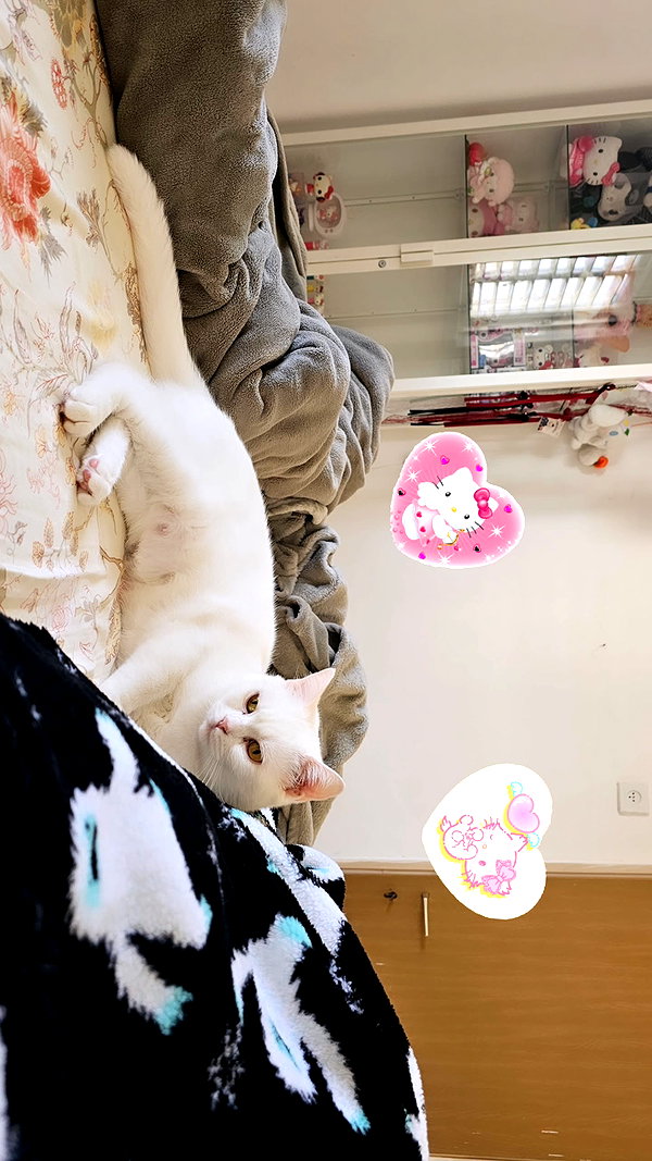 nicakitty instagram image archive image