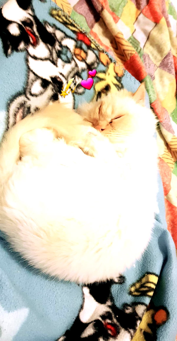 nicakitty instagram image archive image