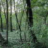 lolontlia Altpins Profile Picture