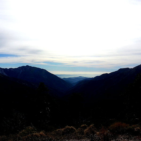 muze instagram image archive image