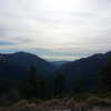 muze Altpins Profile Picture