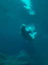 cyber.st4rz Altpins Profile Picture
