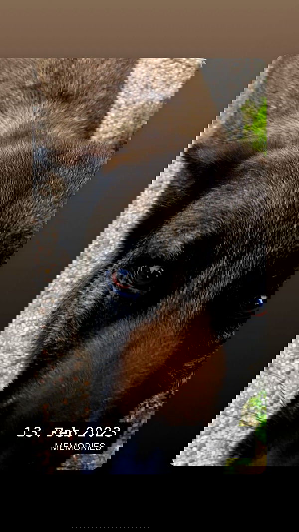 emily_new2 emily_new2 archive image