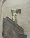 michalcohen___ Altpins Profile Picture