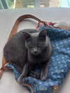 kyla.doddsss Altpins Profile Picture