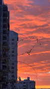 jaroslava_klavir Altpins Profile Picture